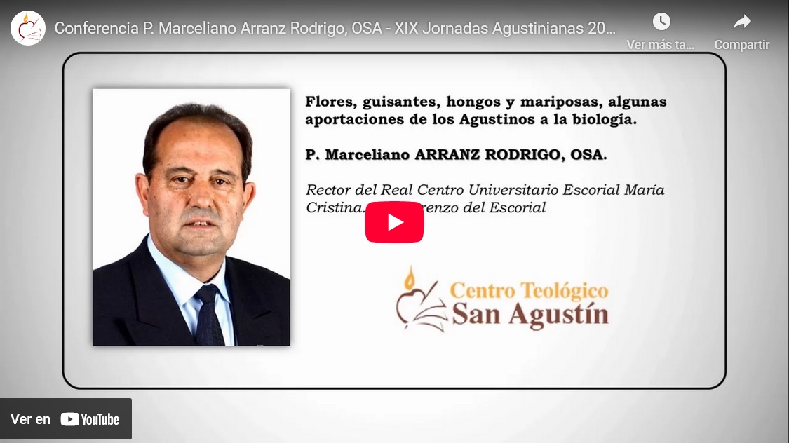 Conferencias Video