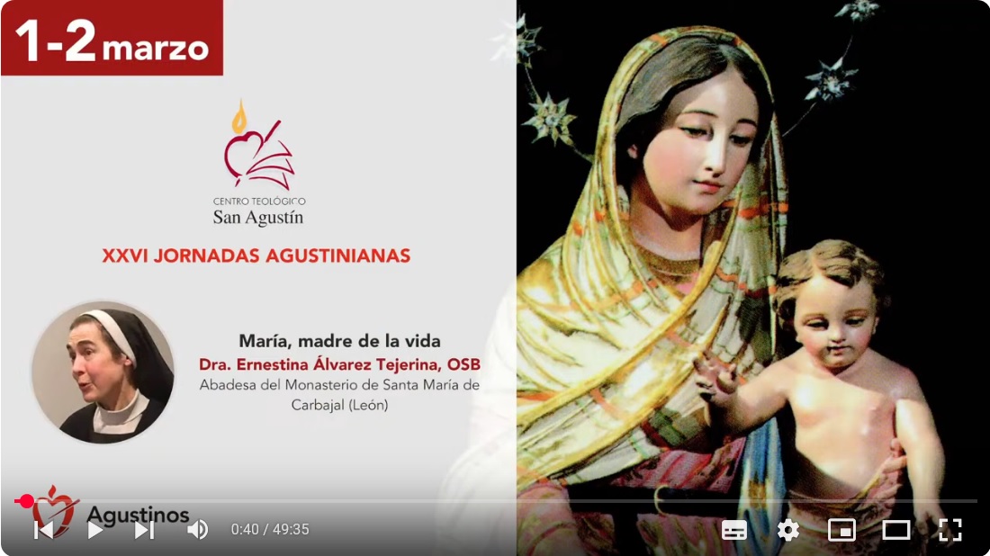 Conferencias Video
