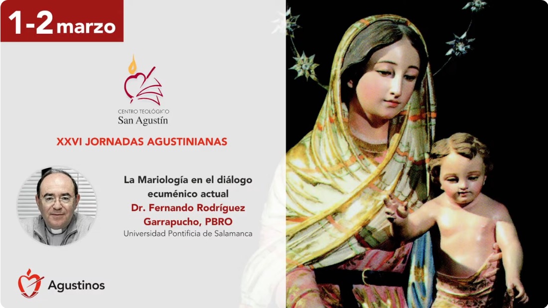 Conferencias Video