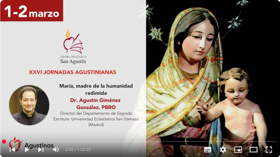 Conferencias Video